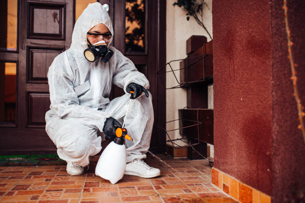 Reliable Termite Control contractor in Sunrise Manor, NV by Nex Pest Control
