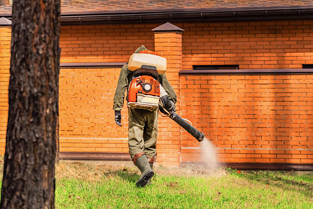 Trusted Cockroach Control service in Sunrise Manor, NV - Nex Pest Control